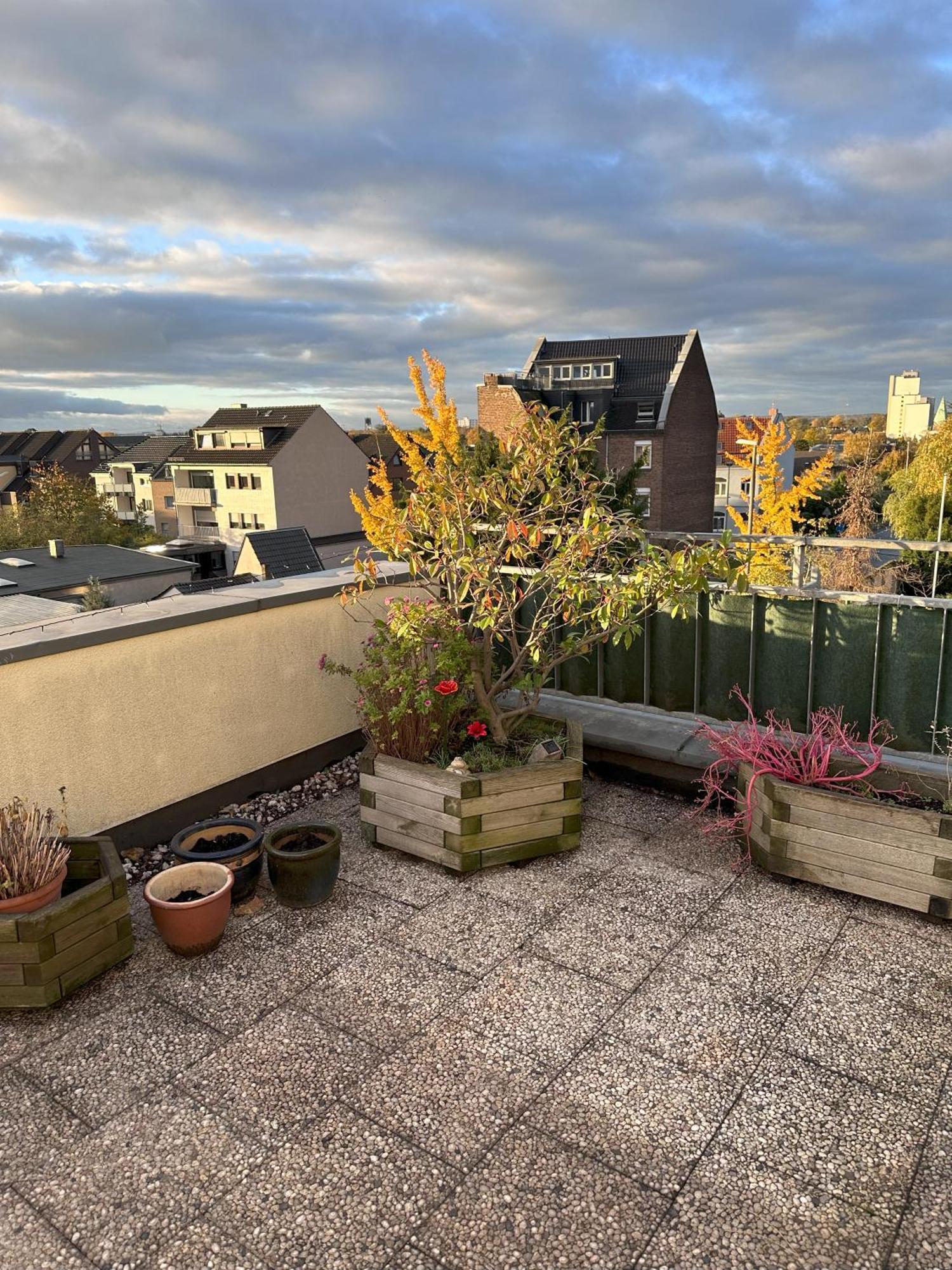Village Vista Penthouse Wesseling Exteriör bild